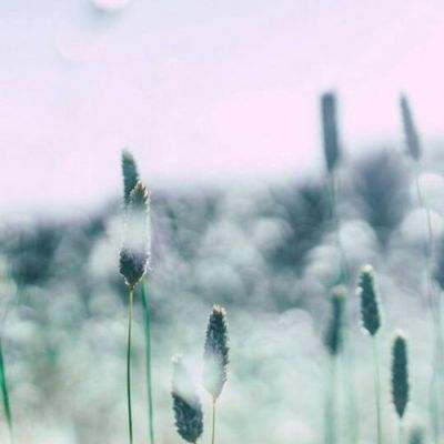 香港今晚六给彩开奖结果app下载